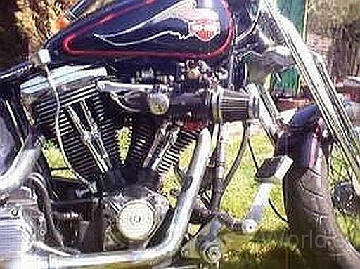 SBSother 011.jpg